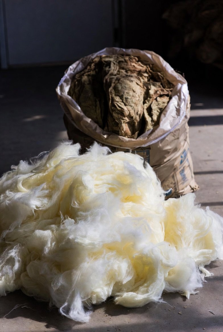 Foam Insulation Cost